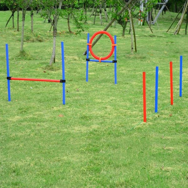 Rootz Pet Agility-setti - Koiran agilityharjoitusvälineet - Agilityharjoitussetti - Koiran agilitysetti - Koiran pujottelu aitahyppyrengas - Sininen/p
