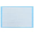 Pikkukuva 10 / 11: Lemmikkieläimen koulutusalustat 400 kpl 90x60 cm kuitukangas - Lemmikkieläimen Koulutusalusta - Lemmikkieläimen Koulutusalustat - Home & Living