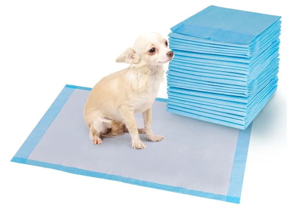 40st Hygienunderlägg / Kissmatta för Hund / Valpmatta - 60x60cm