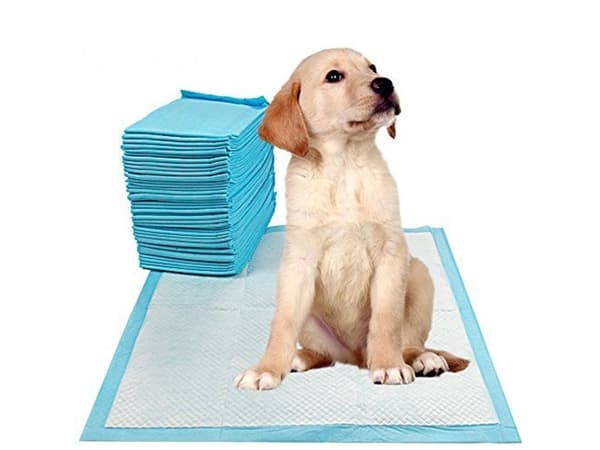 50st Hygienunderlägg / Kissmatta för Hund / Valpmatta - 45x60cm