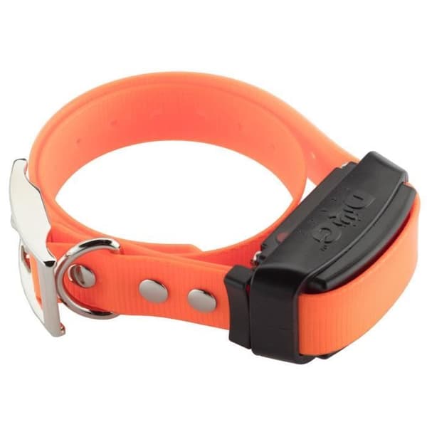 Dogtrace Pro 2000 vattentät träningskrage Multicolor