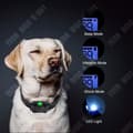 Miniatyrbild 4 av 4: TD® Trådlös Hundtränare Vattentät Elektronisk Fjärrkontroll Elchock Hundtränare Bark Plug 1 Slide 2