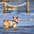 Miniatyrbild 4 av 5: Träningshalssmycke - Ej specificerat - Uppladdningsbar - Vattentät IP67 - 800m - 99 stimulernivåer
