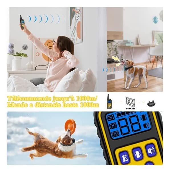 Uppladdningsbart Dressyrhalsband för Hundar, Räckvidd 800m, med Vibrationsläge, Ljud, Statisk Stöt och Ljus, IPX67 Vattentåligt