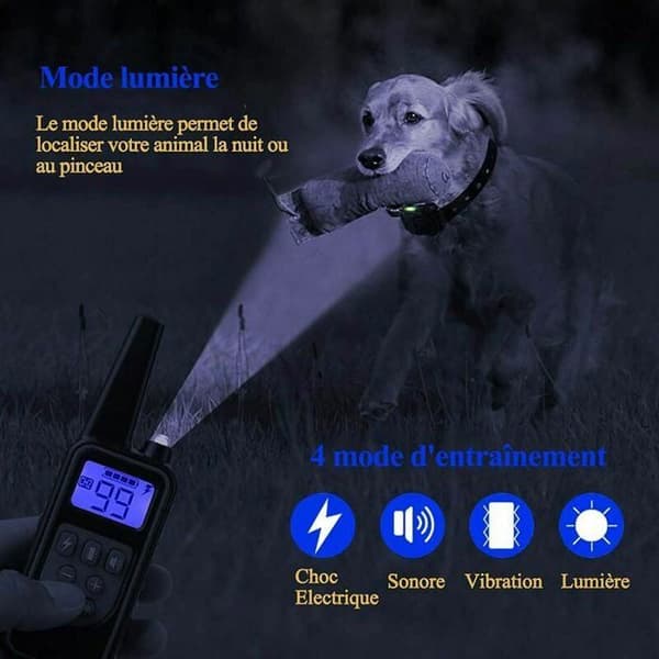 Hundträningshalsband med uppladdningsbart batteri och IP67 vattentåligt, med en räckvidd på 800m och 99 nivåer av vibrations- och elektriska stötar.