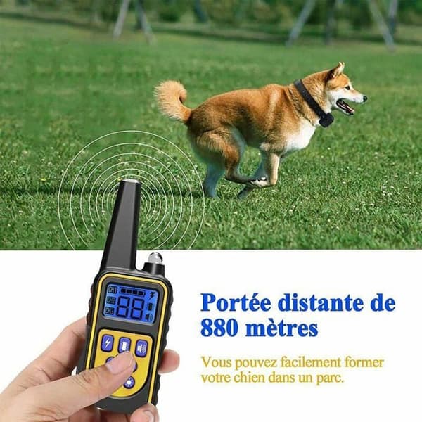 Hundträningshalsband med uppladdningsbart batteri och IP67 vattentåligt, med en räckvidd på 800m och 99 nivåer av vibrations- och elektriska stötar.