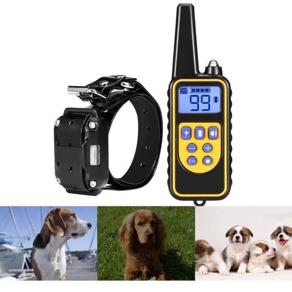 SKY - Vattenresistent och uppladdningsbar elektrisk dressyrhalsband för hundar med ljud, vibration, elektriska stötar och fjärrkontroll 800 m
