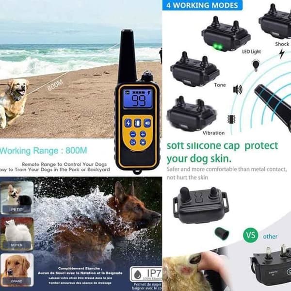 Laddningsbar hundträningshalsband med IP67 vattentålig, räckvidd på 800m, 99 vibrationslägen, stötfunktion, ANTI-BARK-halsband