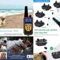 Miniatyrbild 2 av 4: Laddningsbar hundträningshalsband med IP67 vattentålig, räckvidd på 800m, 99 vibrationslägen, stötfunktion, ANTI-BARK-halsband