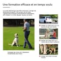 Miniatyrbild 2 av 4: Uppladdningsbart hundträningshalsband, 300 meter vattentätt elektriskt hundhalsband med pip