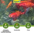 Miniatyrbild 3 av 5: Tetra Pond Variety Sticks (innehåller: 10 L
