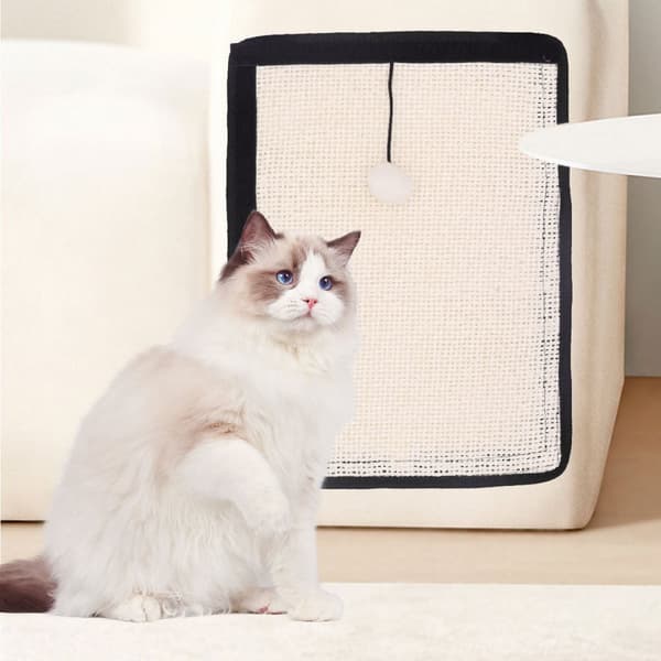 INF Cat Scratching Pad