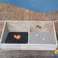 Miniatyrbild 4 av 4: INF Silikonhönsredeunderlägg för äggläggning