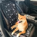 Miniatyrbillede 3 af 3: INF Sædebetræk til bil til hunde og katte