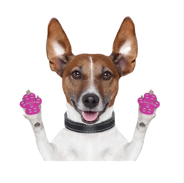 INF 24 st Nya Halkfria Vattentäta Hundtasskydd Rosa XXL