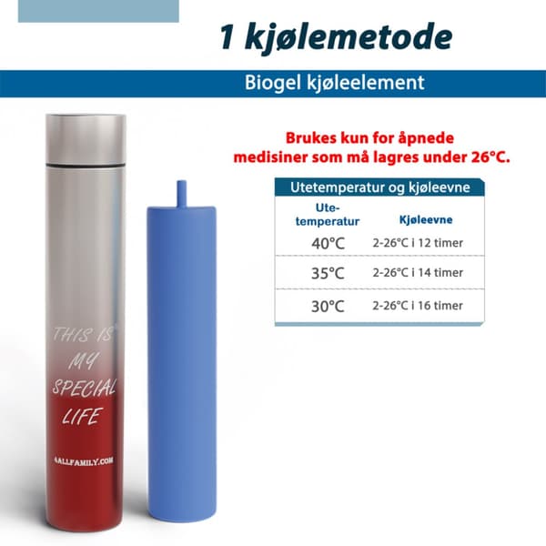 Rambler 10-timers liten kjøletermos for daglig bruk.