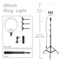 Pikkukuva 2 / 2: Ring Light, Kaukosäädin, Jalusta, 18E 200cm jalusta