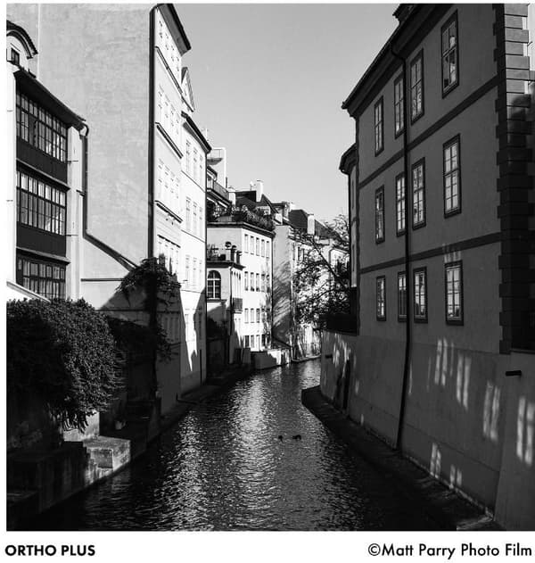 Ilford film Ortho Plus 120