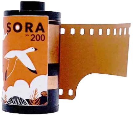 FilmNeverDie film Sora 200/36 (C-41)