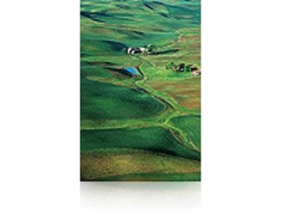 Epson C13S042133 Premium Semigloss Fotopapper Inkjet 250 g/m2 1524 mm x 30,5 m, 1 rullpaket