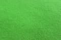 Miniatyrbillede 5 af 7: Molton Green Screen Tæppe med øjer