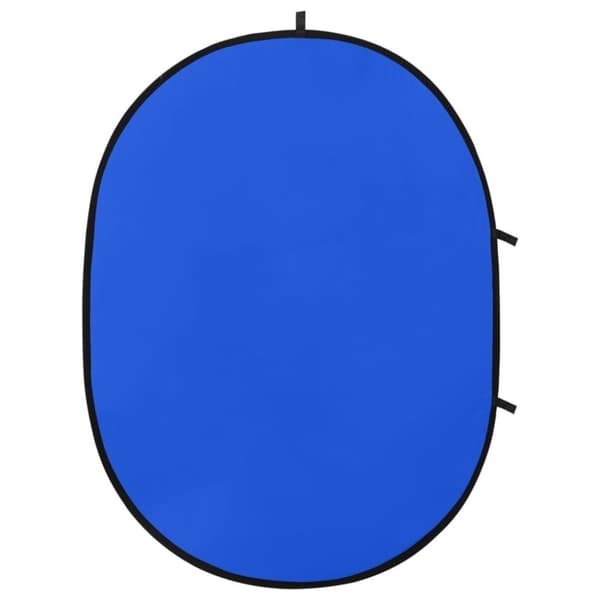 vidaXL 2 in 1 Ovaali studio taustakangas vihreä ja sininen 200x150 cm