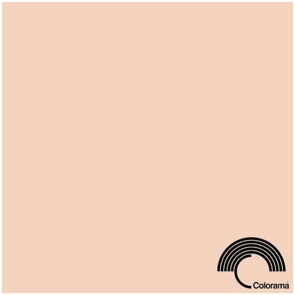 Colorama background 2.72x11m, Oyster (0134)