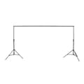 Miniatyrbild 1 av 2: Linkstar Background System BS-3031 300x315 cm (HxW)