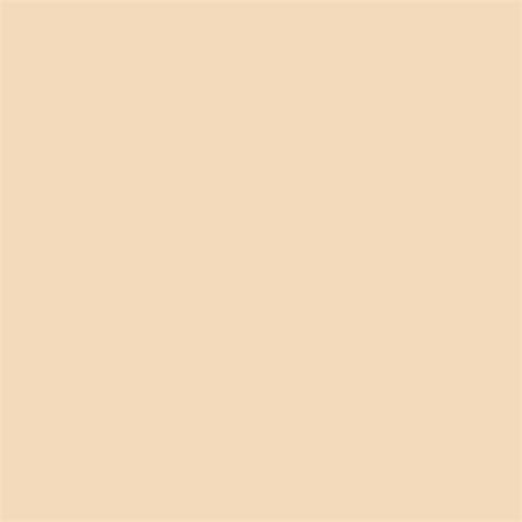 Superior Background Paper 64 Fawn 2.72 x 11m