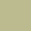 Miniatyrbild 2 av 2: Superior Background Paper 13 Tropical Green 1.35 x 11m