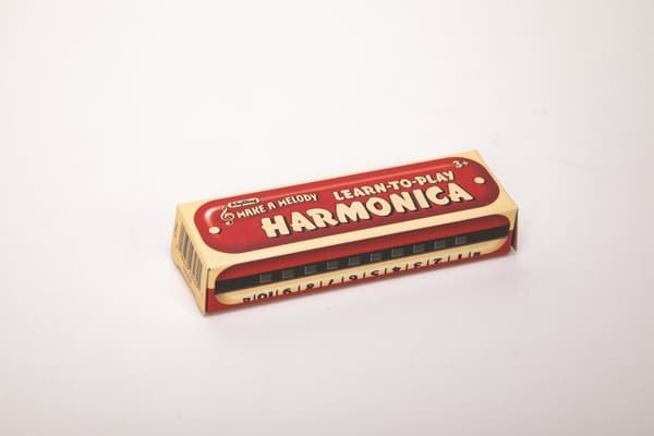 Learn to play harmonica CDU