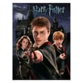 Miniatyrbillede 1 af 2: Harry Potter Canvas Print