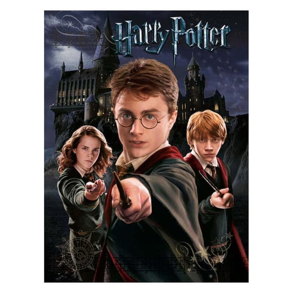 Harry Potter Canvas Print Grey/Black 40cm x 30cm