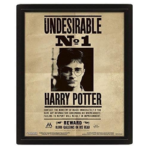 Harry Potter Magnetic Junk nr 1 14,7x9,5cm för fotobeige