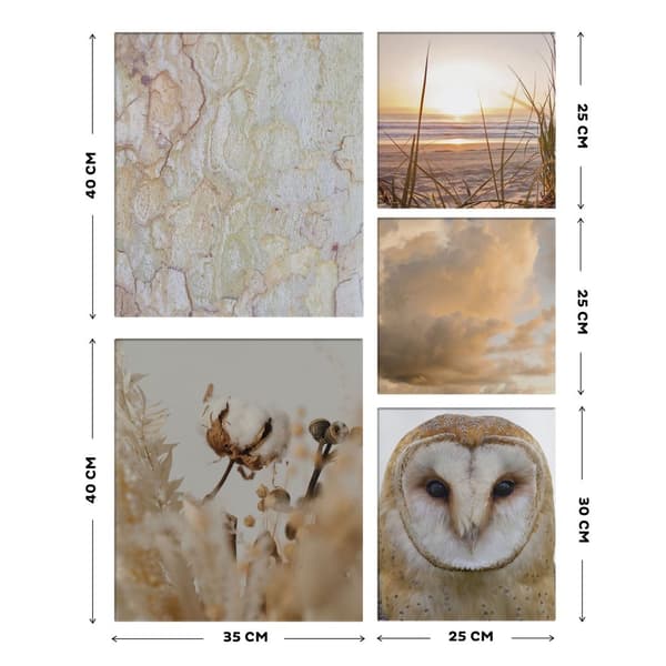 Art for the Home - Set med 5 canvas - Natur - sepia - 80x60cm