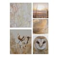 Miniatyrbild 1 av 5: Art for the Home - Set med 5 canvas - Natur - sepia - 80x60cm