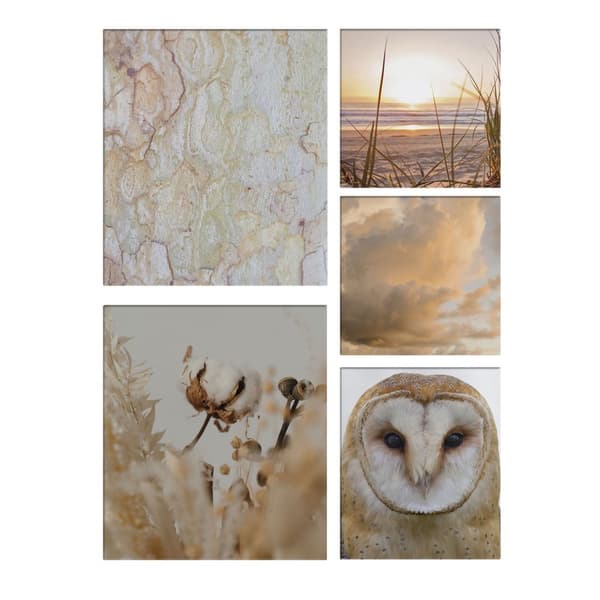 Art for the Home - Set med 5 canvas - Natur - sepia - 80x60cm