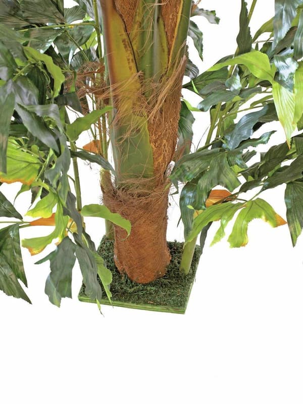 EUROPALMS Kalanhäntäpalmu, keinokasvi, 305cm (82600006)