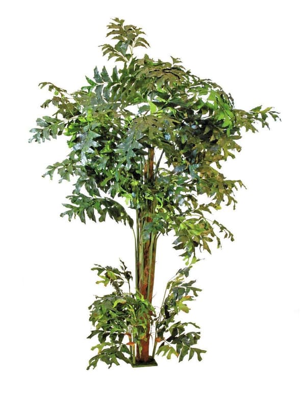 EUROPALMS Fiskehale palme, kunstig plante, 305 cm (82600006)