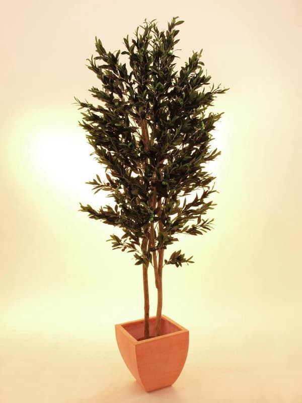 EUROPALMS Oliventræ med frugt, 2 stammer, kunstig, 250 cm (82506418)