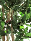Miniatyrbillede 2 af 3: EUROPALMS Oliventræ med frugt, 2 stammer, kunstig, 250 cm (82506418)