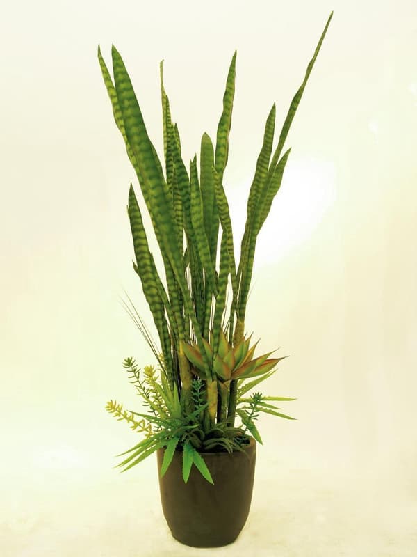 EUROPALMS Mehevä sekoitus, keinokasvi, 190cm (82600035)