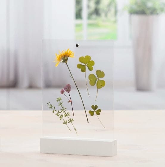 Hama Classic - Akryl - MDF paneler - Gennemsigtig - Hvid - Enkelt fotoramme - Bord - 10 x 15 cm - Rektangulær (00057743)