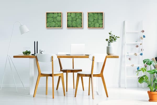 Moss Billeddekorationer Stue Soveværelse Badeværelse Vægdekoration Væg Grønne Planter Mos 30 x 30 cm Moss Kugle Grøn