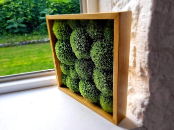 Moss Billeddekorationer Stue Soveværelse Badeværelse Vægdekoration Væg Grønne Planter Mos 30 x 30 cm Moss Kugle Grøn
