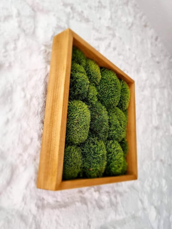 Moss Billeddekorationer Stue Soveværelse Badeværelse Vægdekoration Væg Grønne Planter Mos 30 x 30 cm Moss Kugle Grøn