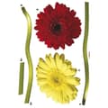 Miniatyrbild 3 av 4: Gerbera, Väggdekal - 50x70 cm
