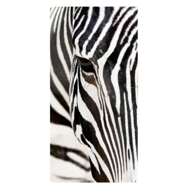 Zebra, Foto att hänga på väggen gjord i plexiglas 29 x 55 cm vertikal