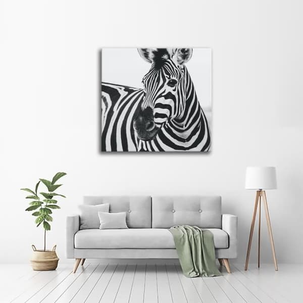 Legendarte - Målning, Tryck på duk - Zebra Nos cm. 60x60