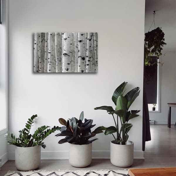 Legendarte - Målning, Tryck på duk - Björkstockar cm. 60x90